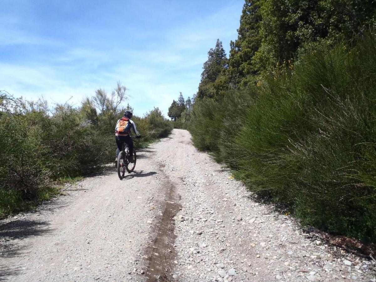 Punto Bariloche Lejlighed Eksteriør billede